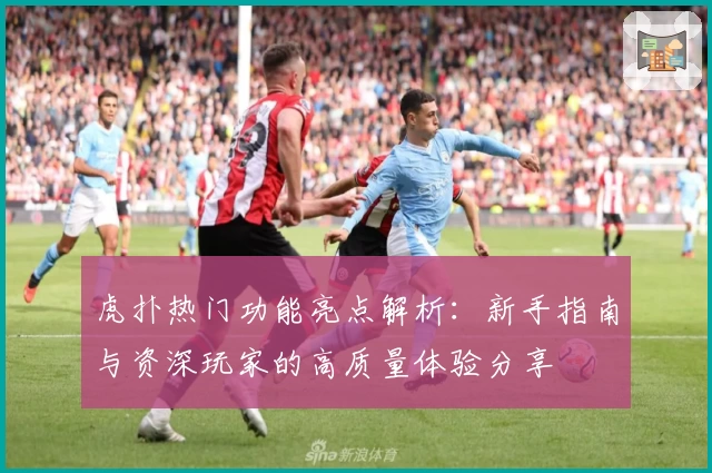 虎扑热门功能亮点解析：新手指南与资深玩家的高质量体验分享