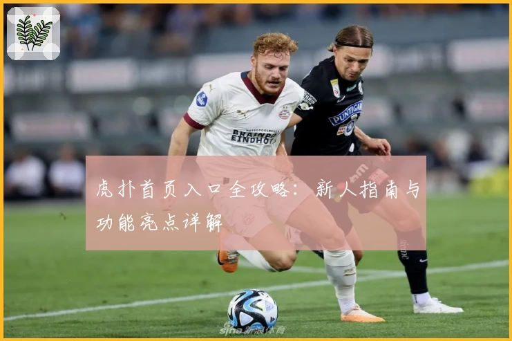 虎扑首页入口全攻略：新人指南与功能亮点详解