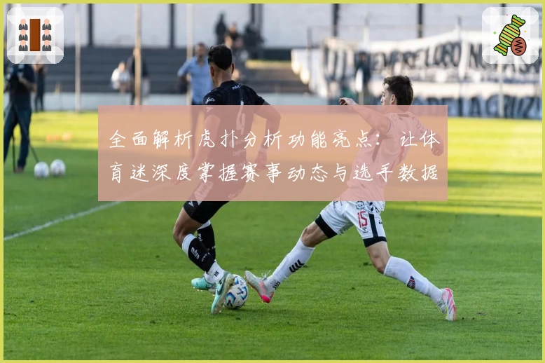 全面解析虎扑分析功能亮点：让体育迷深度掌握赛事动态与选手数据