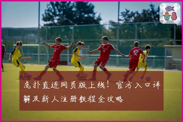 虎扑直连网页版上线！官方入口详解及新人注册教程全攻略